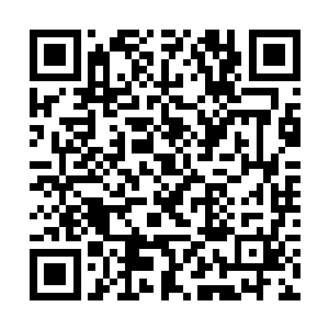 天丹商行和天器商行已经察觉到了我们会对他们动手二维码生成