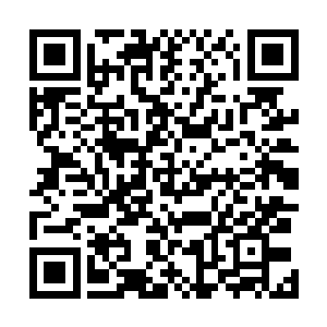 天妖万霖看到夏天这么多的攻击无法给他造成任何的伤害二维码生成