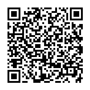 天知道会不会把妮可卷入到什么危险之中现在的妮可已经不是那个浮游天使了二维码生成
