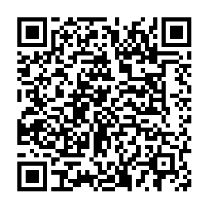 天空之上有罗刹界的罗天门和血刹宫以通天手段放在道魂界的两个月亮二维码生成