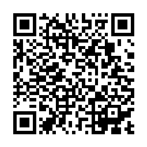 奶奶……你……你说我爸爸妈妈……他们……他们是……二维码生成