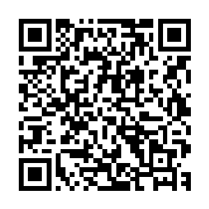 她可从来不觉得面前的表小姐会如同表面表现的这般柔弱可欺二维码生成