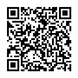 她差点就把面前摆着咖啡和小点心的玻璃茶几撞翻了二维码生成