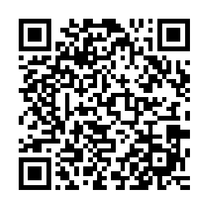 她虽然很累但是也不至于刚被墨修尧抱在怀里就睡着了的程度二维码生成