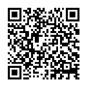 如果不是你将夏侯渊晋的安排与你自己的安排整合在一起二维码生成