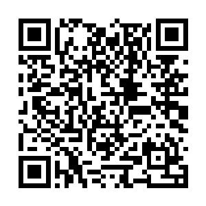 如果他们没有行动我又有什么理由收拾三大家族呢二维码生成