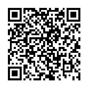 如果你们担心尼尔王会因为你们大闹王宫而追捕你们二维码生成