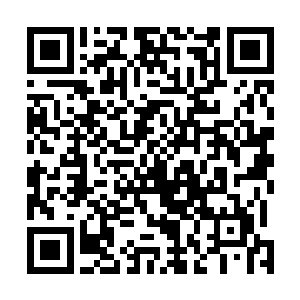 如果可以的话我要建议海洋管理局的人把现在捕捞季扩大二维码生成