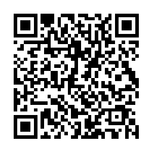 如果哪个大宗门动用过大的力量去帮助一个弟子去建立宗门二维码生成