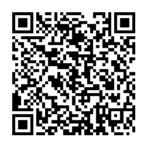 如果把麻药增加到一个疯狂的剂量让他没办法在手术中醒过来的话二维码生成