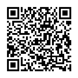 姚爷爷看萧恒墨站在客厅里像根柱子一样动也不动二维码生成