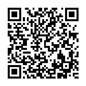 威廉王不说话了――凭心而论……他可不想和哈罗德来什么单挑二维码生成