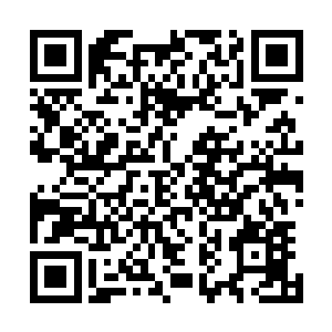 它们不敢再蹈覆辙……而且私自脱离黑莲教分布的任务位置二维码生成