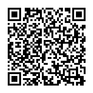 它可以调节动力踏板与螺旋桨之间的转速比与你脚下踏板的动力输出方向二维码生成