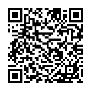 守在门口的仆从多是太夫人从当初东辽国就用的世仆二维码生成