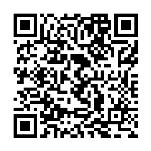 完全无法恢复曾经的辉煌……加上数百年的血脉留存二维码生成