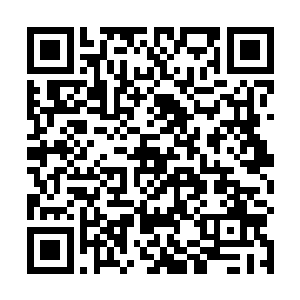 完全没有表演痕迹――布兰特雷完全找不到别的理由了二维码生成