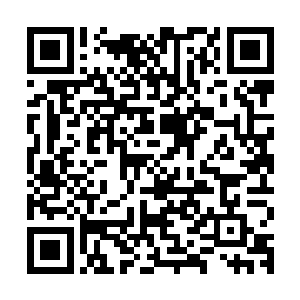 实力强大弹指间无数人灰飞烟灭――这样的存在怎么可能会生病二维码生成