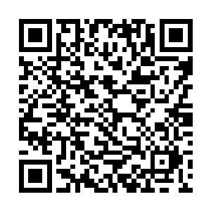 实在是太傻了……指不定谁就死在这次的任务中了呢二维码生成