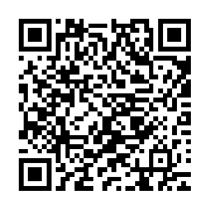 实际不会耽搁你的成长……黄脉再怎么眼红要把你拉下第一线二维码生成