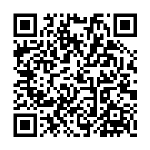 实验室的大门会放射出三万伏的电压将生物击晕二维码生成