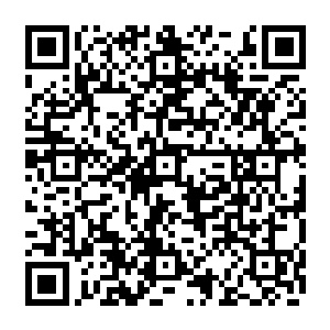 害怕他们说自己以后也会变成妈妈那样没出息又没教养又不会伺候男人的女人……二维码生成