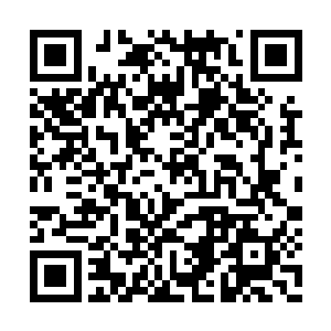 密密麻麻无数的螳螂旋风又填满了众修士的眼帘二维码生成