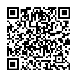 对于属下和其它琐事都是完全放权给安娜和戈林他们几个二维码生成