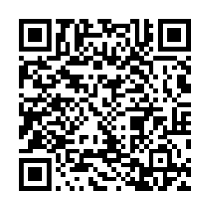 对任何族群任何生灵任何阶段的人哪怕一个小童生都有用二维码生成
