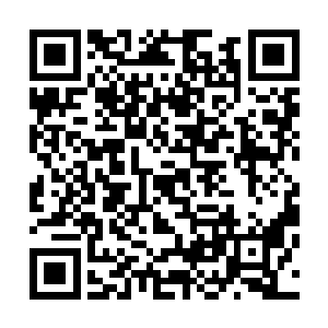 对啊……他可以随时重开一次无双乱舞强行破解定身啊……二维码生成