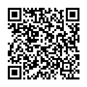 对彼此掌控的伏羲系统进行持续不断的暴力破解和逻辑攻击二维码生成