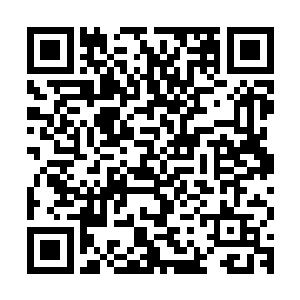 将一大块厚实的巨型岩石如同巨盾一般挡在自己和燕小霞的面前二维码生成