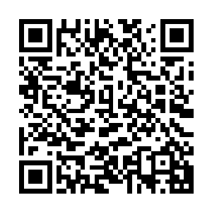 将会成为吸血鬼族群中的佼佼者欧洲的吸血鬼势力最近动荡不安二维码生成