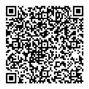 小子 还我酒來 若不是见你修为刚刚突破 根基不扎实 我也不会拿出这种好东西 要不是多多一心倾心于你……二维码生成