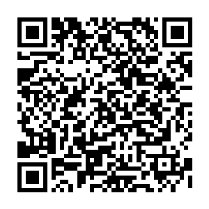 尤其是在看到有车子拉着一棵碧绿碧绿未经装扮的圣诞树大模大样的在街上走二维码生成