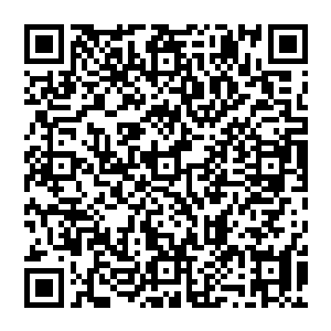 就在众人在心中暗暗猜测百族战神和如今几乎已经成为人族最强者的剑尘究竟会不会生冲突时二维码生成