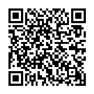 就在大家都打算看看夏天的寒冰之力修炼到什么程度的时候二维码生成