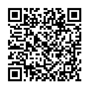 就是神文师公会每次举办宝物博览会的地址所在二维码生成