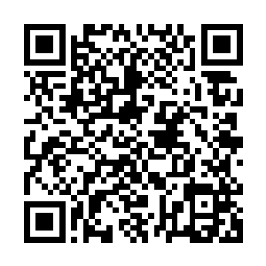 就算是之前与苏叶不对付的陈彬这次与不咸不淡的打了一个招呼二维码生成