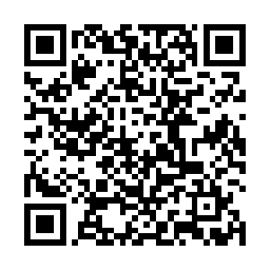 就算是对方不计较到时候他们也别想在拍卖行待下去了二维码生成