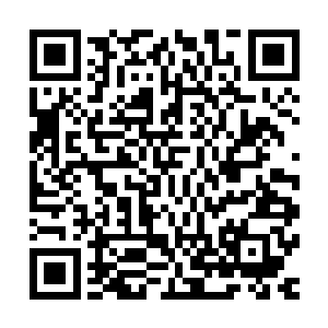 就算还在对金在珉不满的权侑莉也暂时放弃了对金在珉的埋怨二维码生成