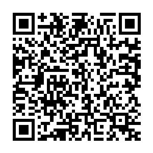 就能将刀疤脸这样的大宗师级高手杀死……估计没有几个人会相信的二维码生成