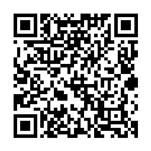 尽管蒋玉然隔一段时间就会和他相熟的警察打个电话问一下进展二维码生成