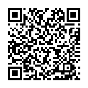 巨大的惯性让不系安全带的罗根如同炮弹一般撞了出去二维码生成