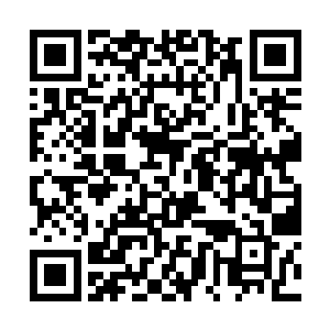 带着调皮的笑容走了过去然后用手捏住了叶秋的鼻子二维码生成