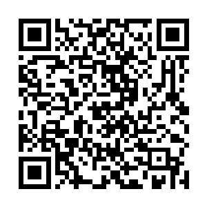 并不是那种愿意任由制片人和总导演随你捏扁搓圆的人二维码生成