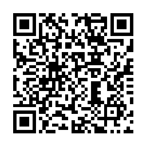 庇护所世界的结界正在被一种强大至极的力量攻击和侵蚀二维码生成