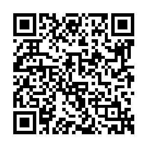 应老师会尽最大的努力确保你的精神中枢不受伤二维码生成