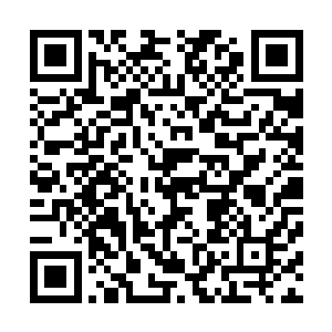 应该和萨尔维是没戏了――其实和切萨雷也是在找话题而已二维码生成
