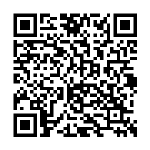 开始动用各种办法探测书房里面隐藏的暗格之类二维码生成